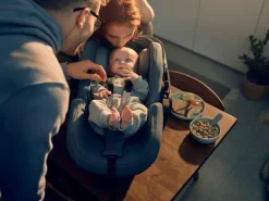 THULE Set Maple Light Grey mit Alfi Basisstation*Kinder Isofix Stationen|Babyschalen 0-13 Kg, Gruppe 0+