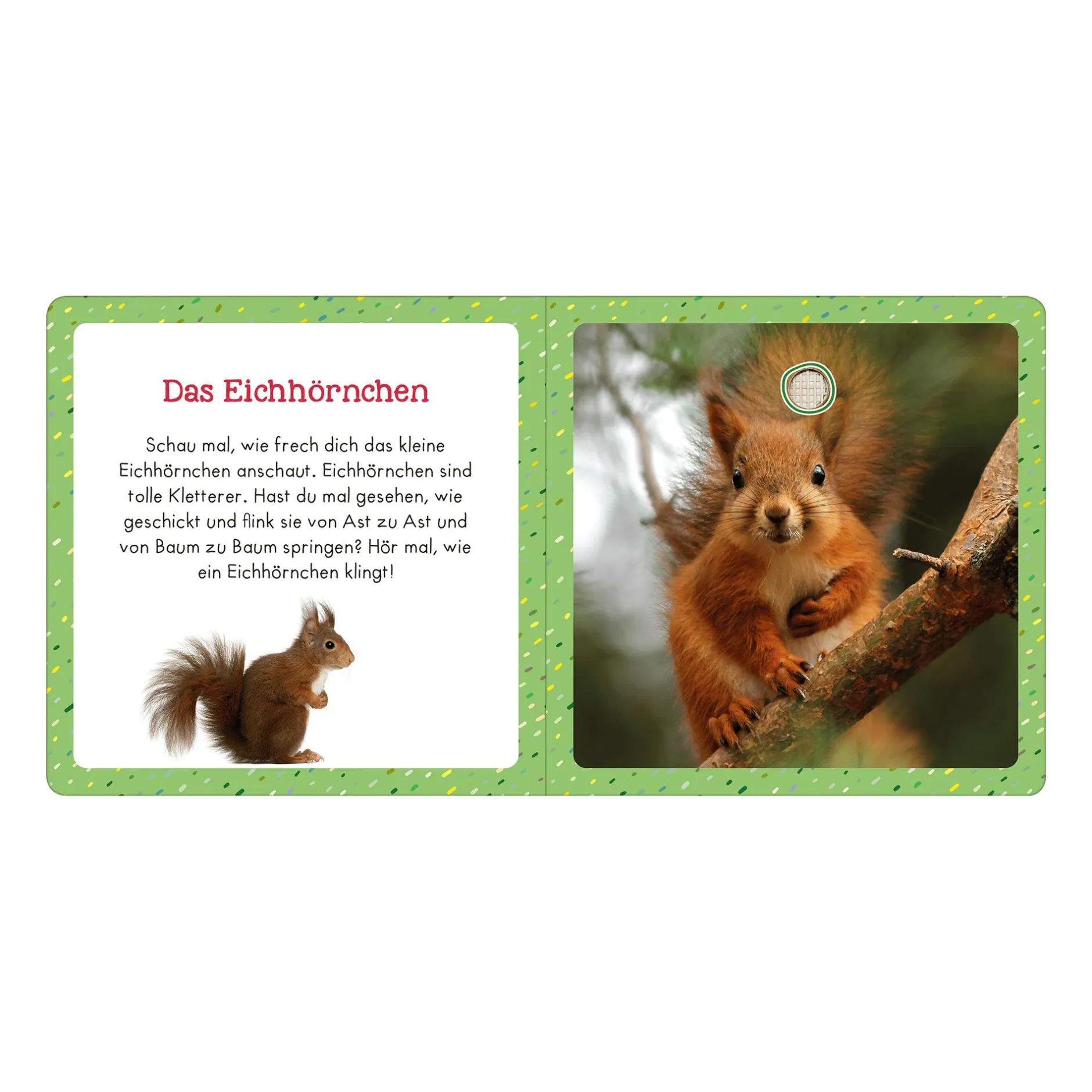 arsEdition Soundbuch für Klitzekleine – Lieblingstiere*Kinder Kinderbücher