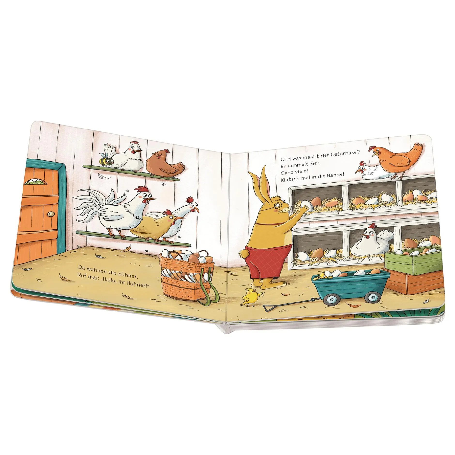 Ravensburger Stups Herrn Hase auf die Nase*Kinder Kinderbücher|Spielzeug Ab 2 Jahre