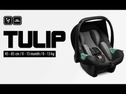 ABC DESIGN Tulip i-Size Graphite*Kinder Babyschalen 0-13 Kg, Gruppe 0+