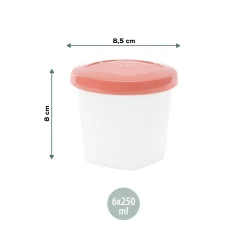 babymoov Vorratsbehälter Babybols 6x250ml* Nahrungsbehälter