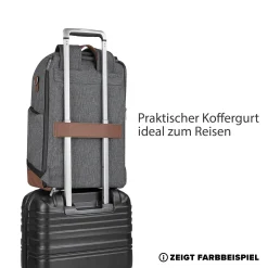 ABC DESIGN Wickelrucksack Tour Berry Pure Edition* Wickelrucksäcke