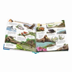 Ravensburger Wieso? Weshalb? Warum? Mein ABC der Tiere*Kinder Kinderbücher