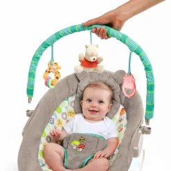 DISNEY baby Wippe Winnie the Pooh* Wippen