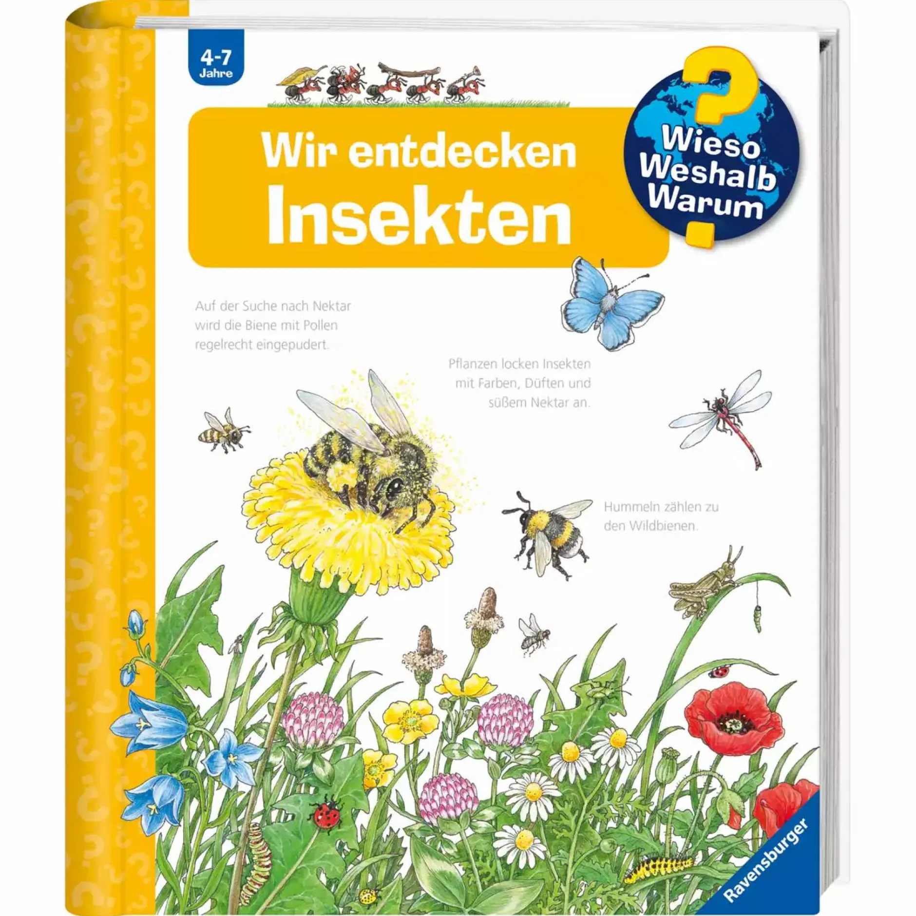 Ravensburger WWW Wir entdecken Insekten*Kinder Kinderbücher|Spielzeug Ab 4 Jahren