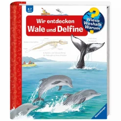 Ravensburger WWW Wir entdecken Wale und Delfine*Kinder Kinderbücher|Spielzeug Ab 4 Jahren