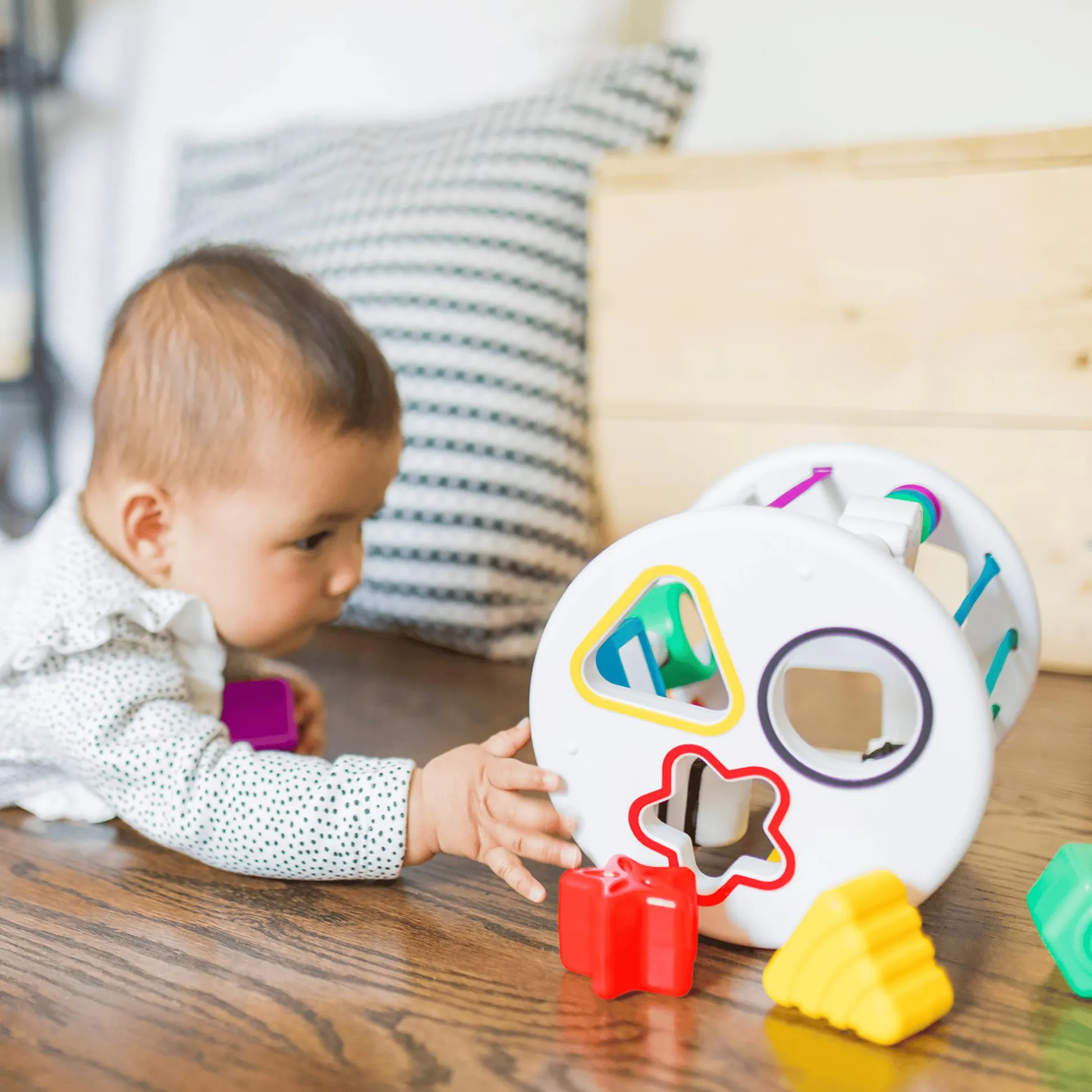 baby einstein Zen & Cals Spielplatz*Kinder Holzspielzeug